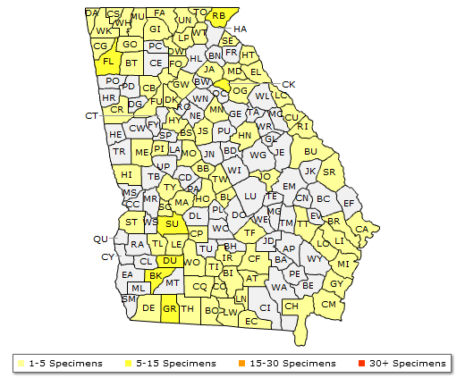 The Georgia range of Sassafras albidum